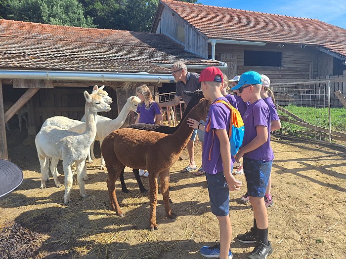 ORGANIZIRALI SMO ŽE 10. POLETNI TABOR ZA OTROKE ZAPOSLENIH